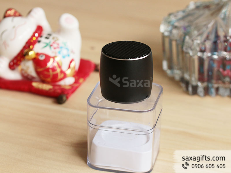 Loa mini mẫu 1 – Kết nối được với wireless